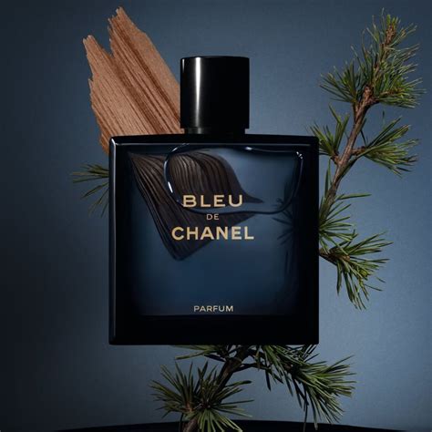 chanel cologne homme|original chanel for men.